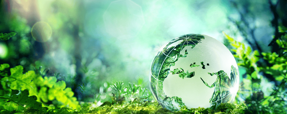 Cover di "Le 5 domande da farti per capire se la tua azienda va verso la sostenibilità"