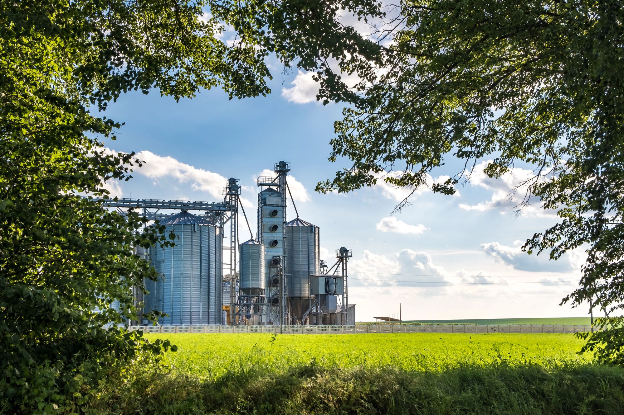 Cover di "Agroalimentare italiano tra leadership industriale e stress geopolitico: crescita selettiva fino al 2027 "