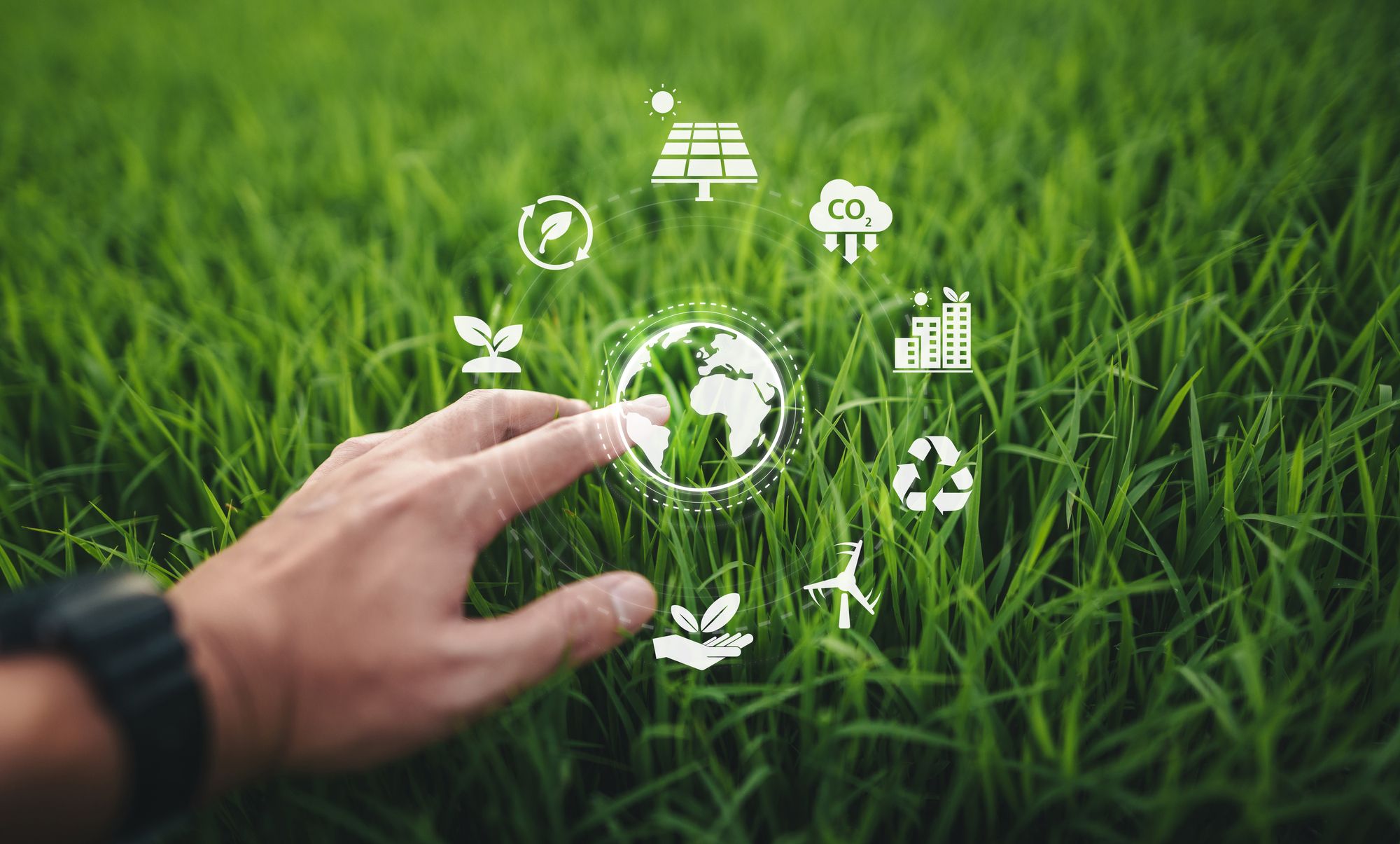 Cover di "Tassonomia EU: la mappa della transizione ambientale"