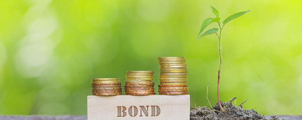 Cover di "Cosa sono i Green Bond?"