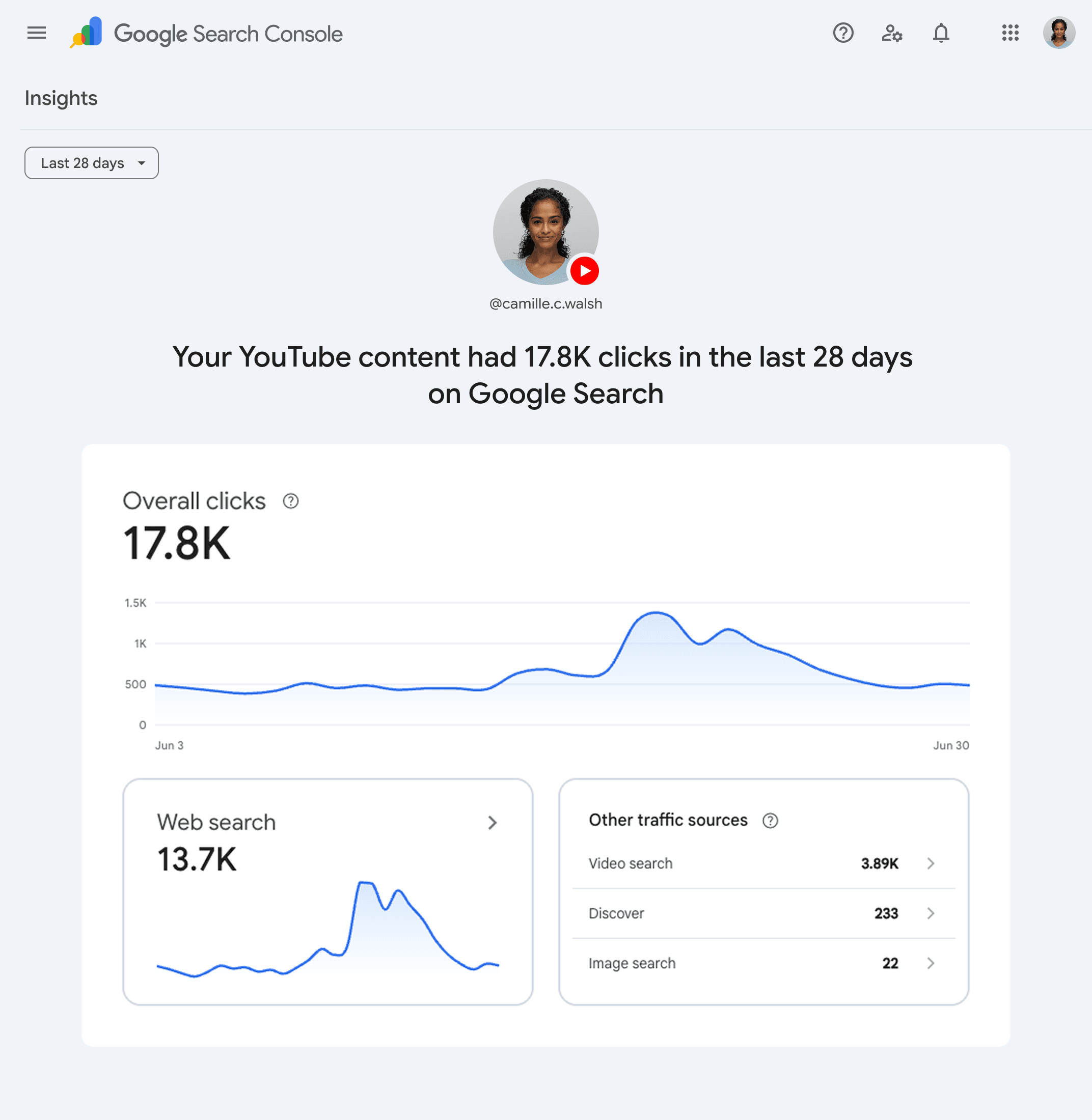 Vista di esempio di Google Search Console Social Video Platforms