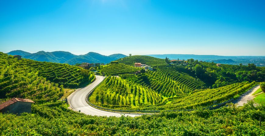 Cover di "Contributi alle PMI del Veneto"