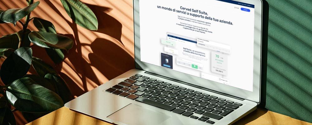 Cover di "Analizzare i rischi delle PMI autonomamente? Si può fare!"