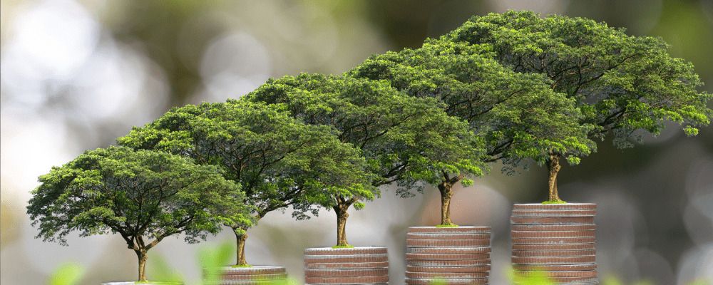 Cover di "Cos’è il bilancio di sostenibilità e quando è obbligatorio per le aziende"