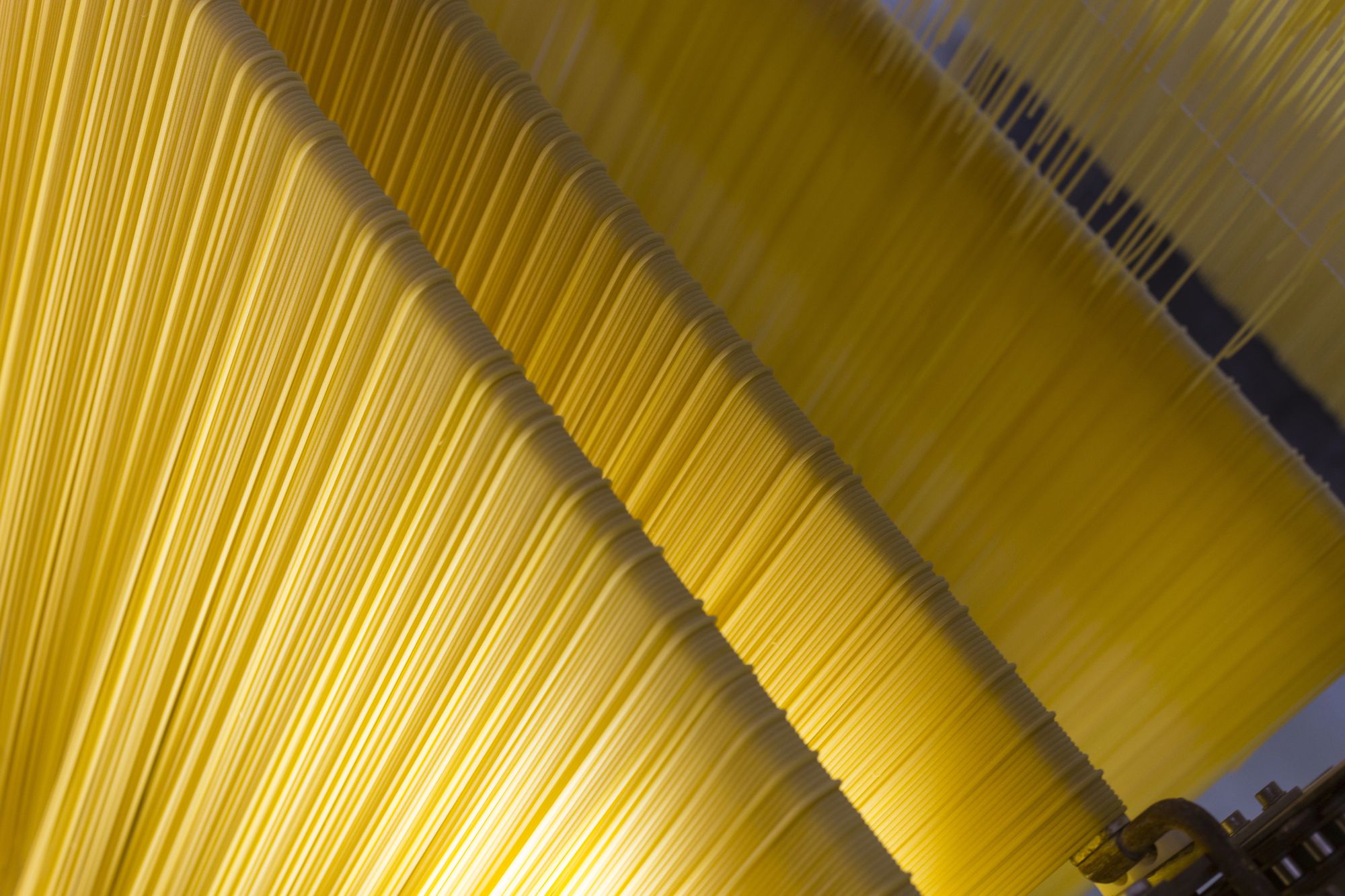 Pasta: un settore che continua a crescere guardando oltre confine 